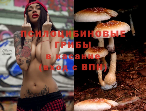 метамфетамин Белокуриха
